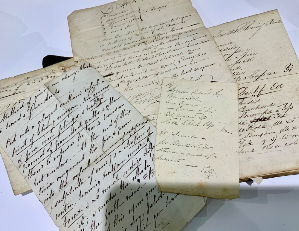 Apothecary’s handwritten note book 1825 View VIII