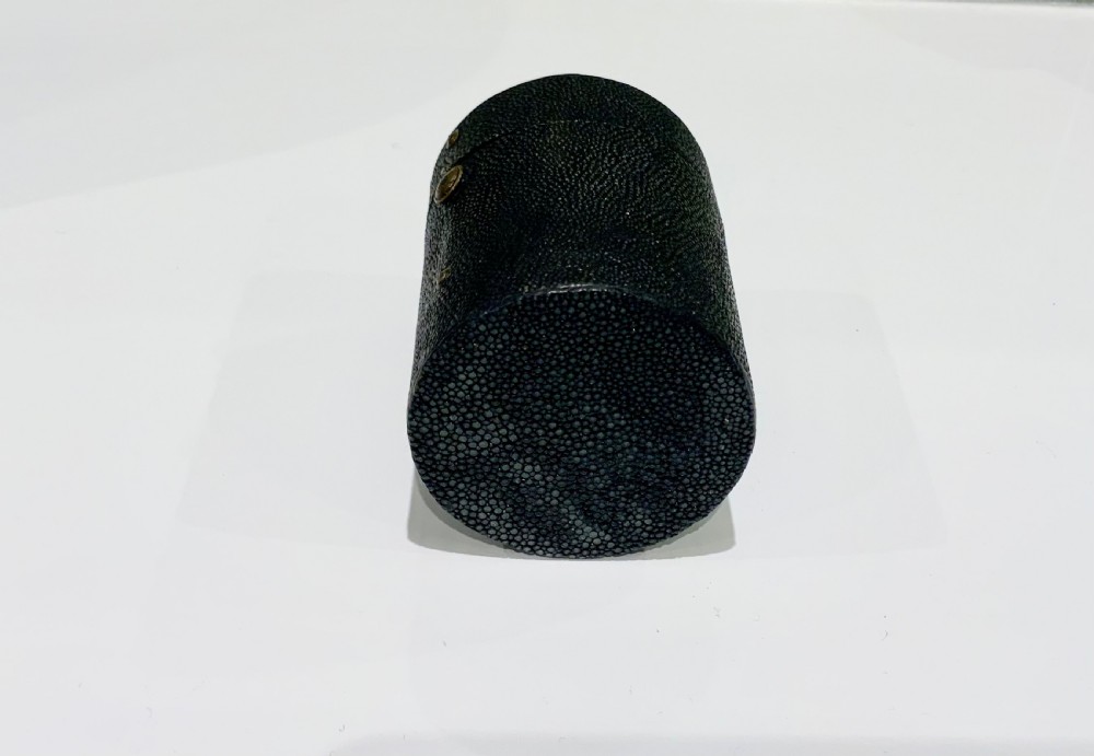 Georgian Shagreen monocular case View V