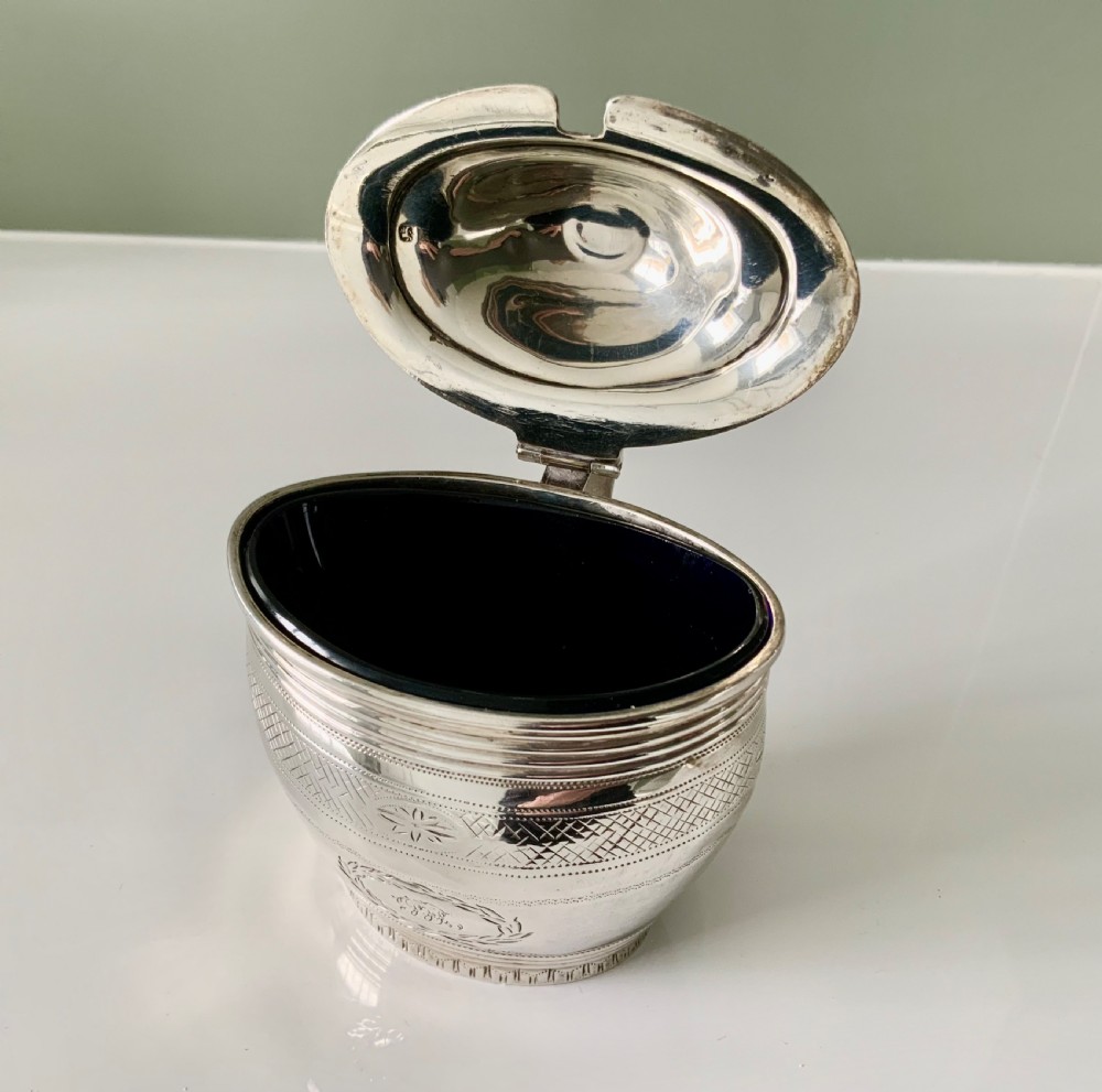 Georgian silver mustard pot View IV