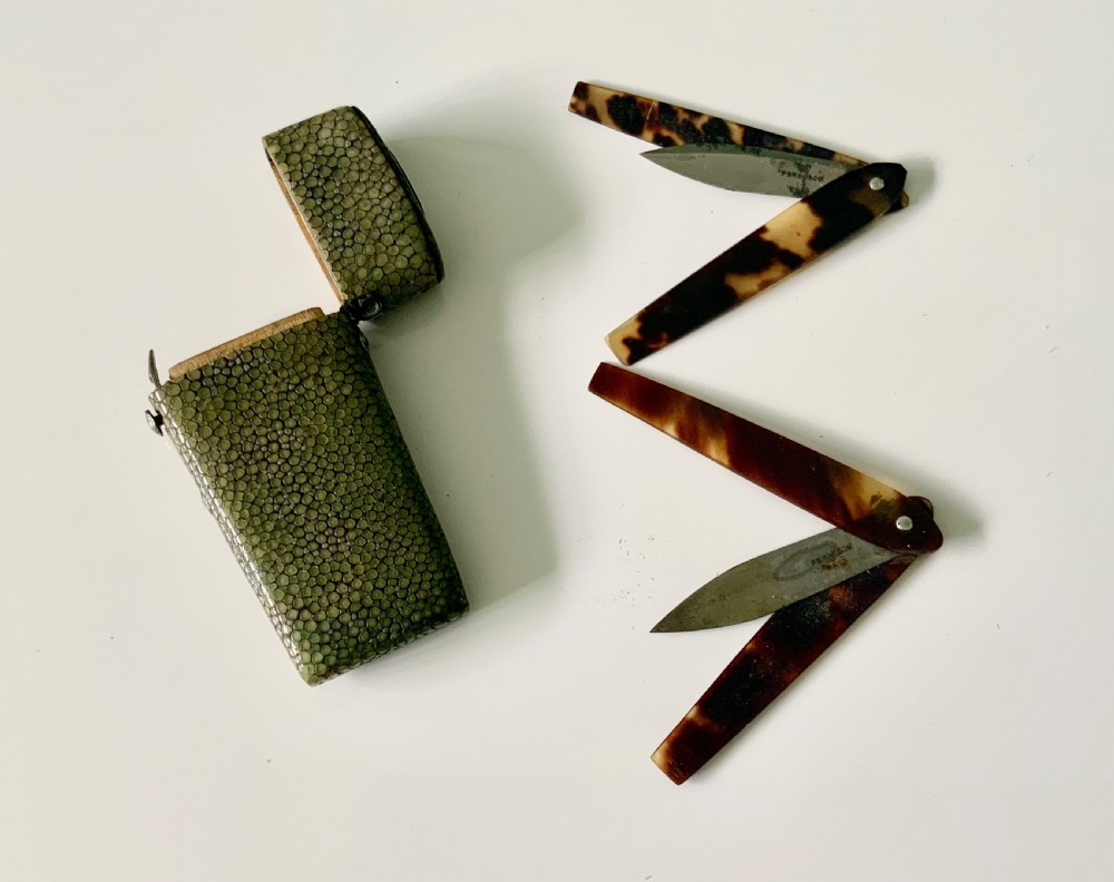 Georgian shagreen lancet case View II