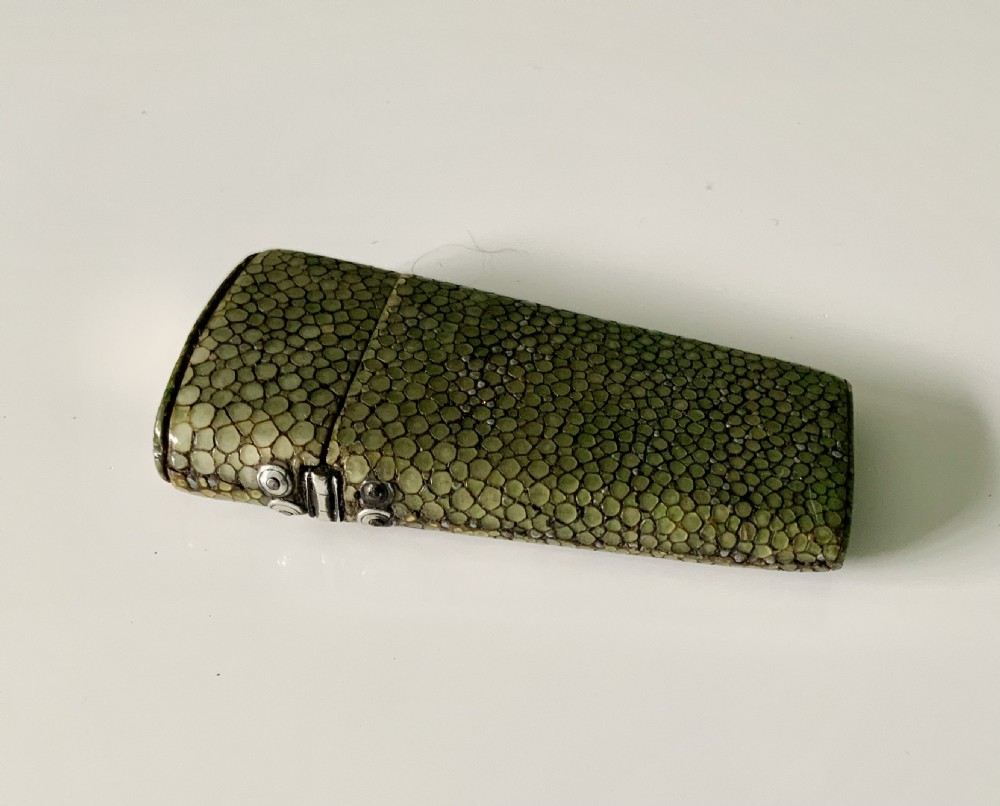 Georgian shagreen lancet case View IV