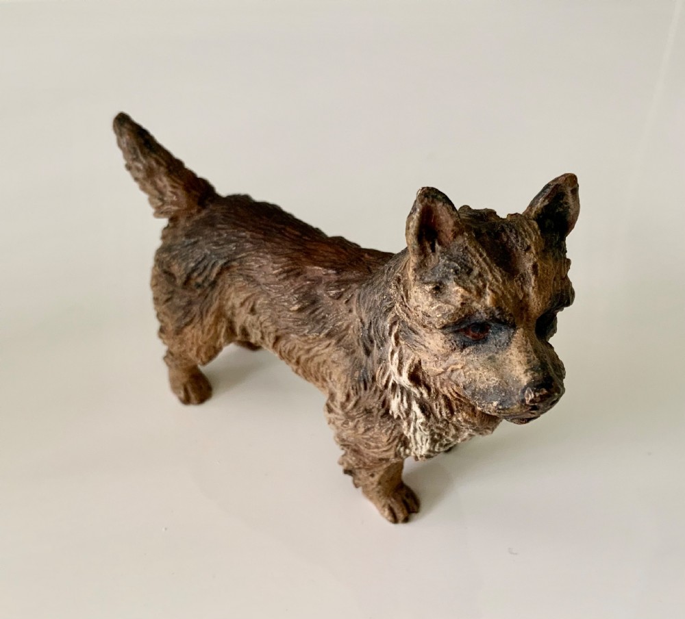 Austrian cold painted bronze terrier