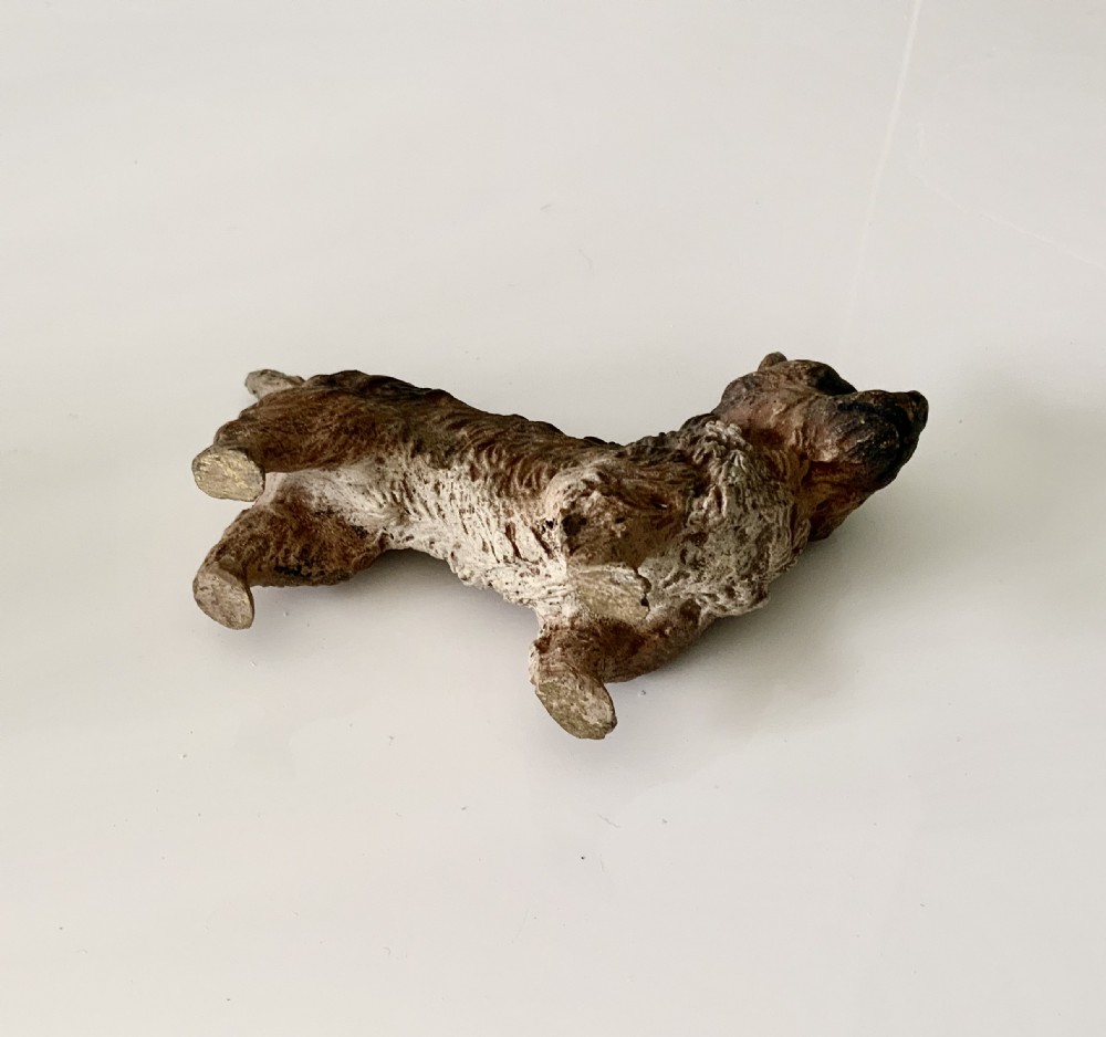 Austrian cold painted bronze terrier View V