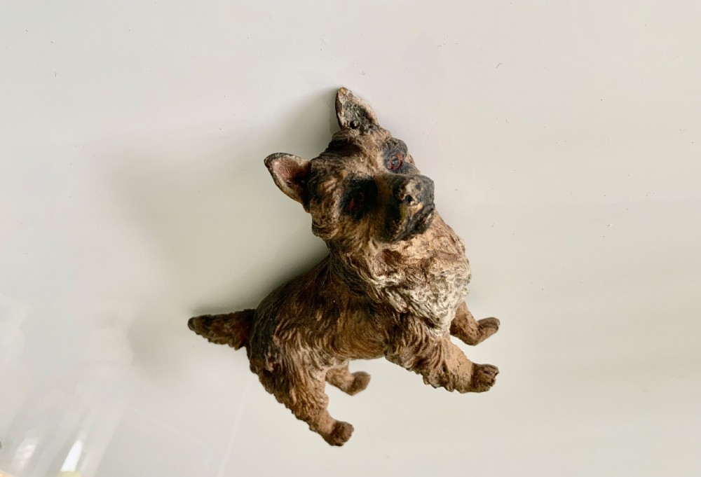 Austrian cold painted bronze terrier View VI