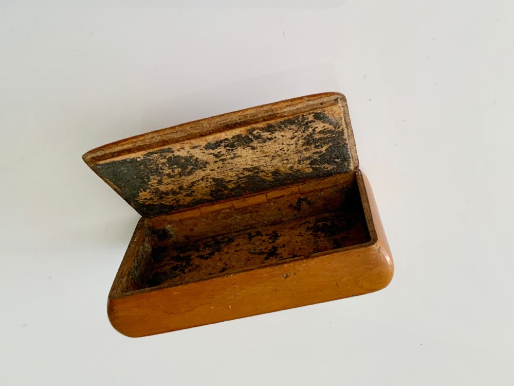 Rare 19th century Mauchline snuff box View IV