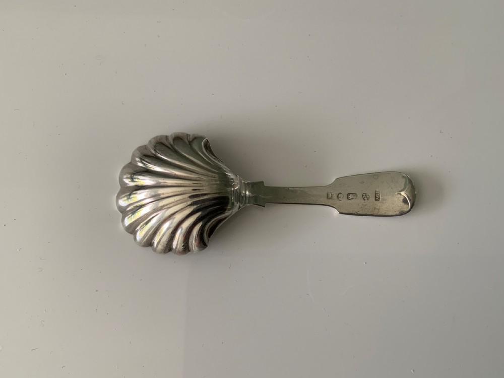Georgian silver Newcastle caddy spoon View III