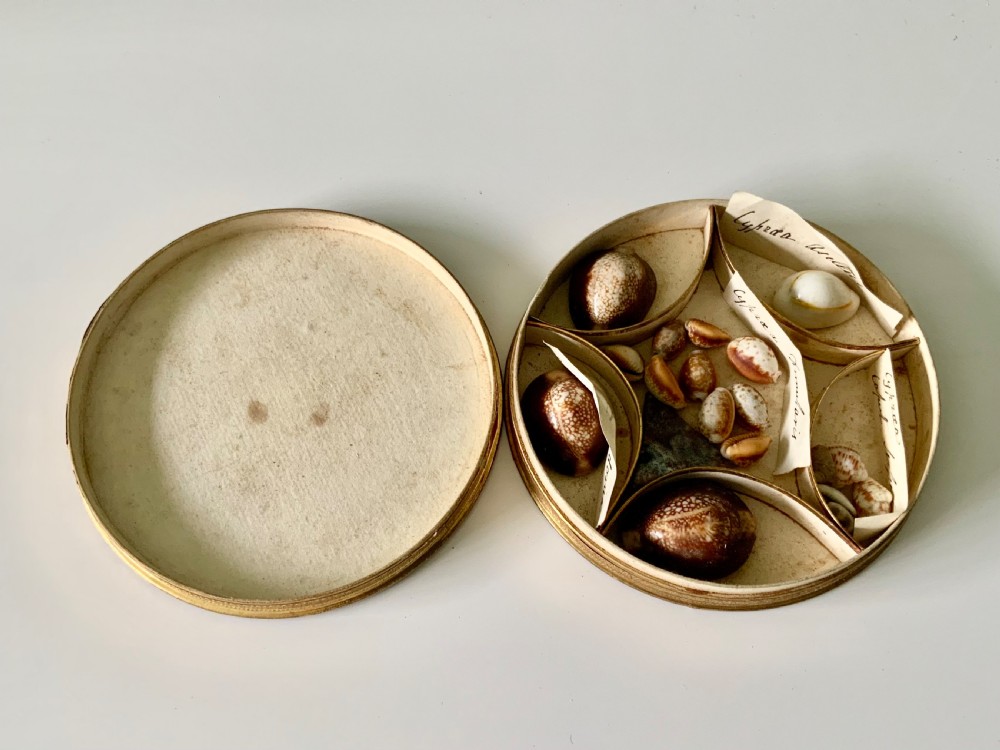 Early 19th Century French Dragee box  View II