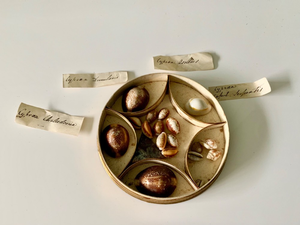 Early 19th Century French Dragee box  View III