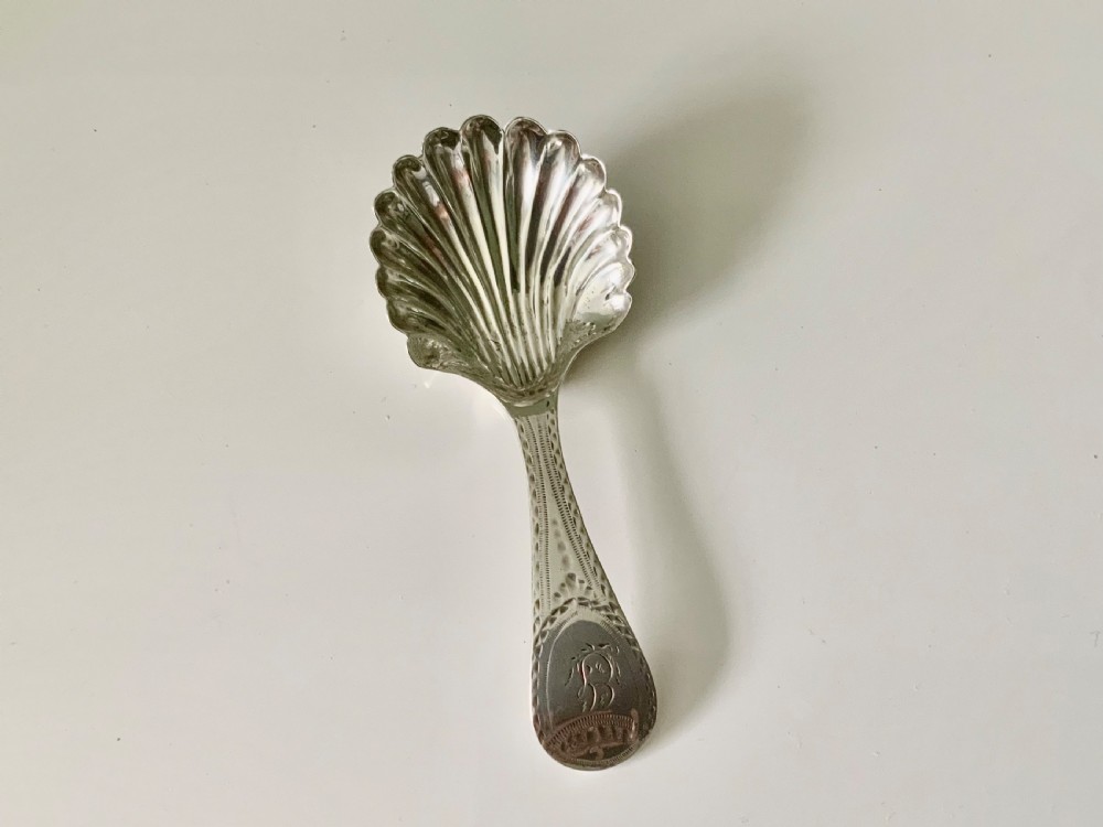 Newcastle silver caddy spoon