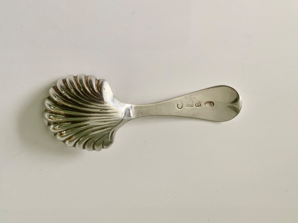 Newcastle silver caddy spoon View III