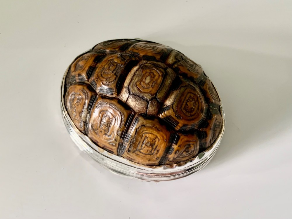 Rare Georgian Terrapin & Silver snuff box