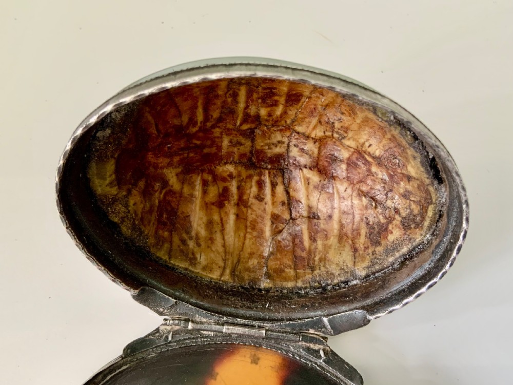 Rare Georgian Terrapin & Silver snuff box View IV