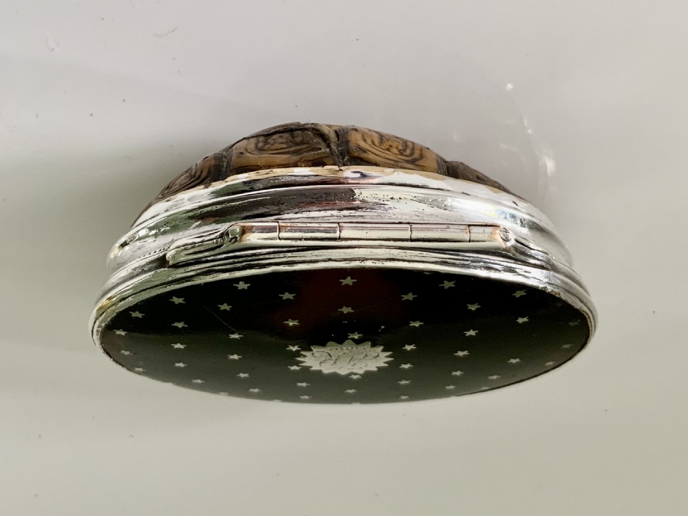 Rare Georgian Terrapin & Silver snuff box View V