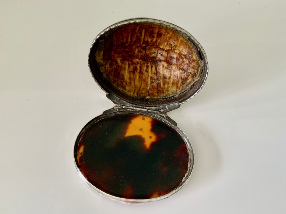Rare Georgian Terrapin & Silver snuff box View VI