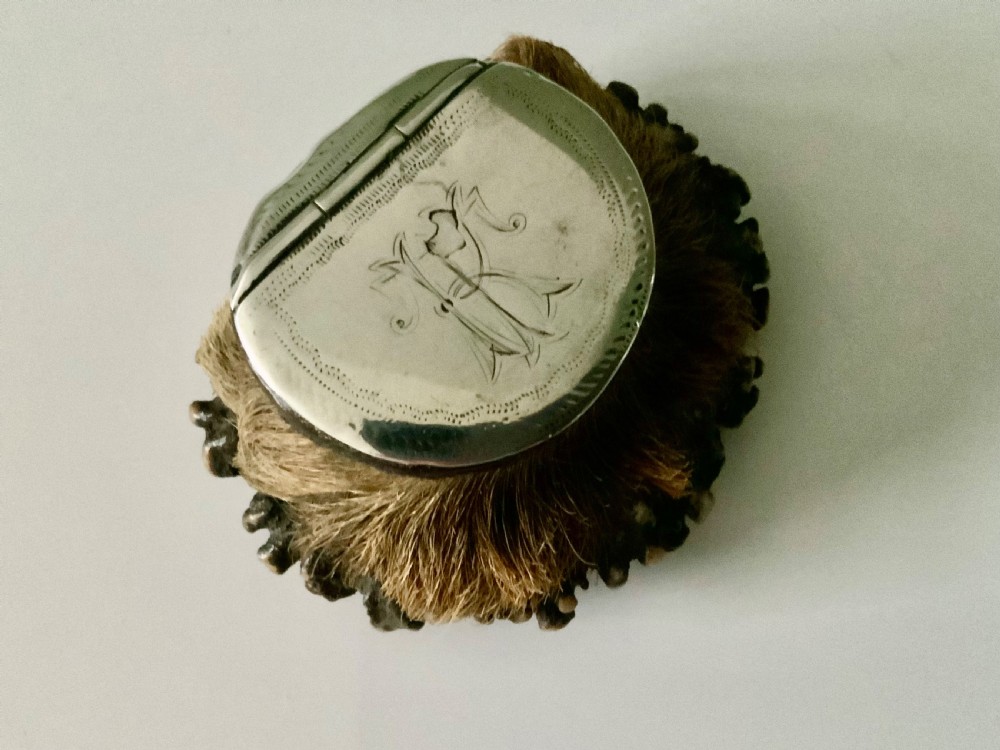 Antler horn and silver snuff box