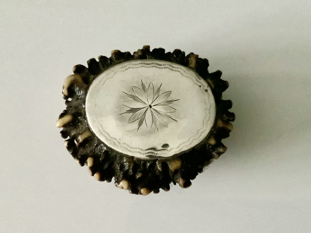 Antler horn and silver snuff box View IV