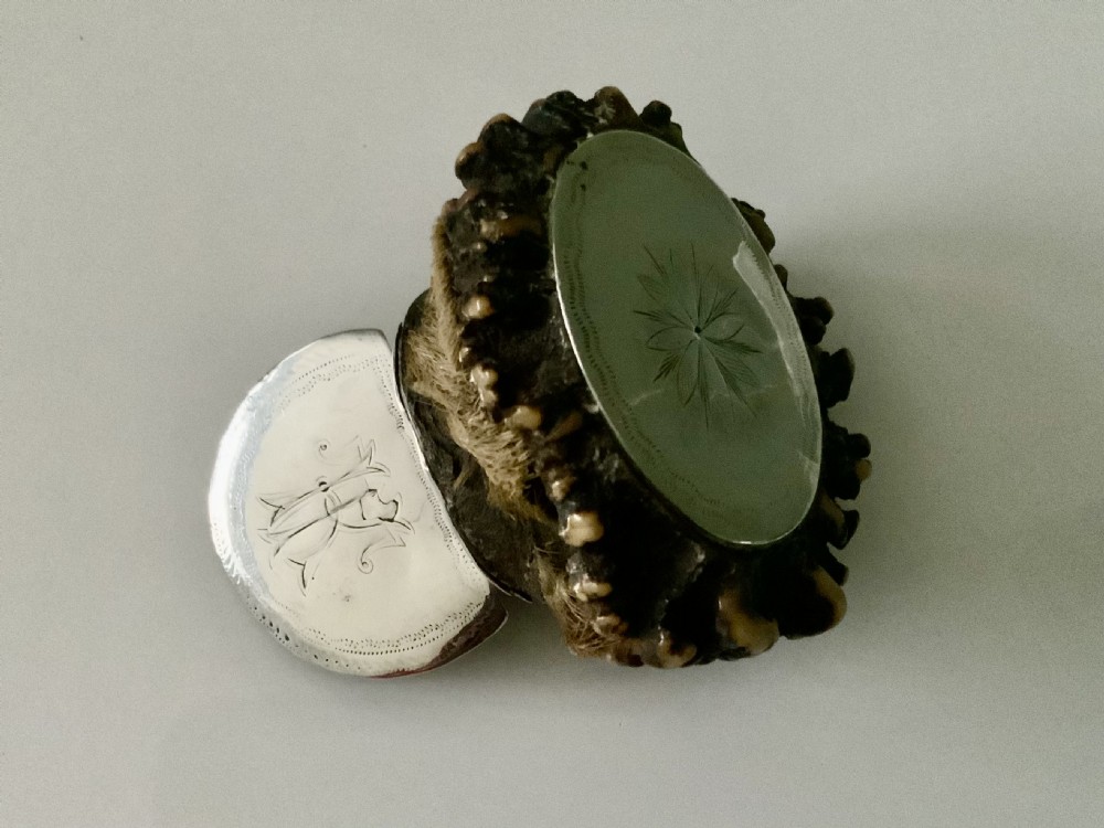 Antler horn and silver snuff box View VI