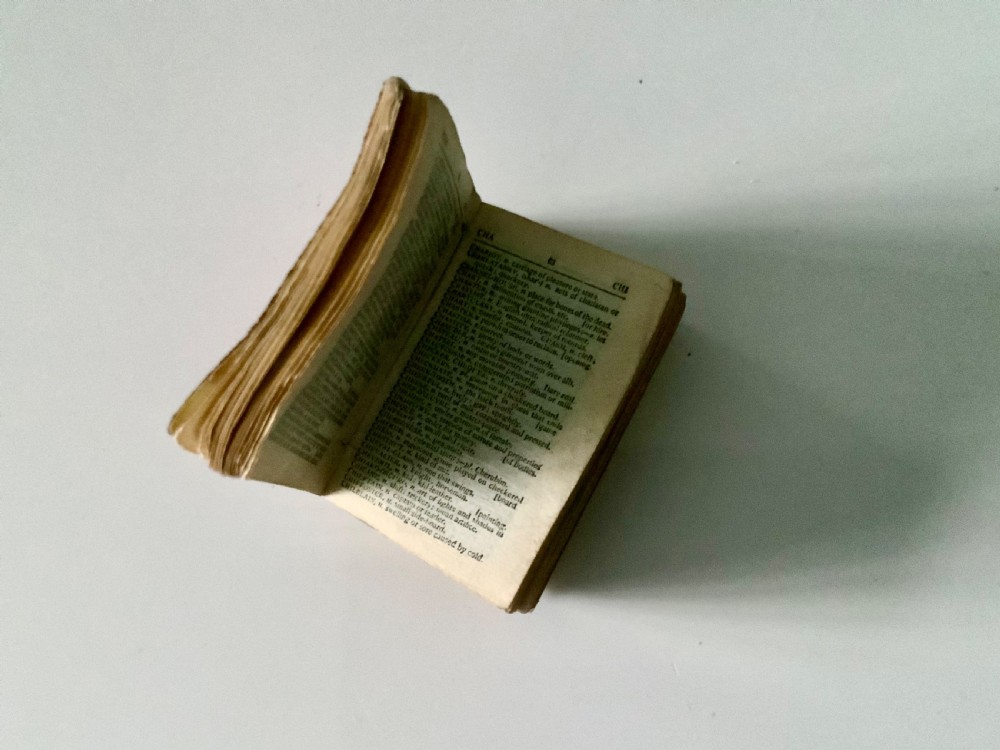 Bryces smallest English Dictionary with magnifyer View VIII