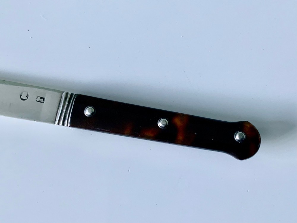 A Georgian silver tongue depressor with a flat hallmarked blade and a dark mottled tortoiseshell handle secured with three silver rivets. View II