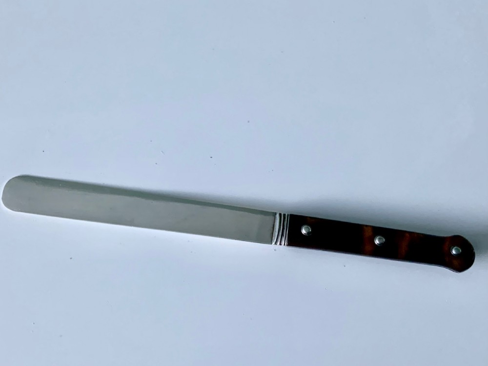 A Georgian silver tongue depressor with a flat hallmarked blade and a dark mottled tortoiseshell handle secured with three silver rivets. View III