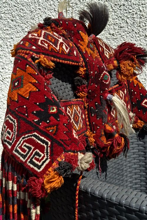 RARE WEDDING CAMEL HORSE HEADDRESS FROM AFGHANISTAN TURKOMAN TRAPPING CIRCA 1900 - ADDITIONAL PHOTO 2