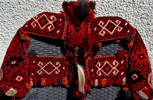 RARE WEDDING CAMEL HORSE HEADDRESS FROM AFGHANISTAN TURKOMAN TRAPPING CIRCA 1900 - ADDITIONAL PHOTO 8