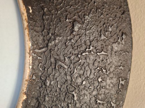LARGE JAPANESE TOTAI SHIPPO CHARGER CLOISONNE TREE BARK WITH BAMBOO CIRCA 1890 SIGNED - ADDITIONAL PHOTO 5