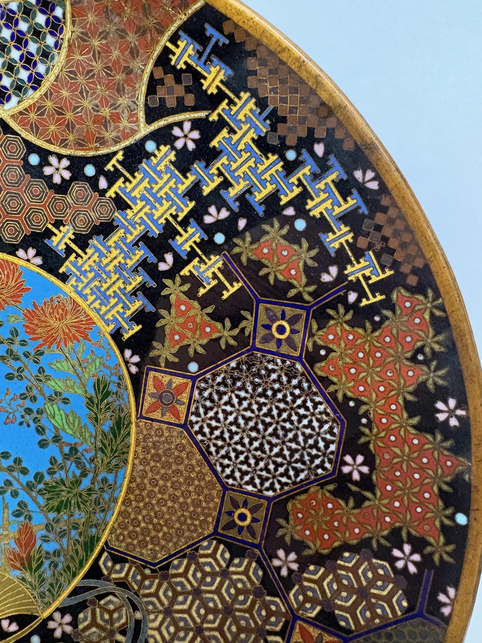 A circular Japanese Meiji period cloisonne charger featuring a sky-blue central medallion with chrysanthemums, a butterfly, and a frog, framed by geometric enamel patterns. View III
