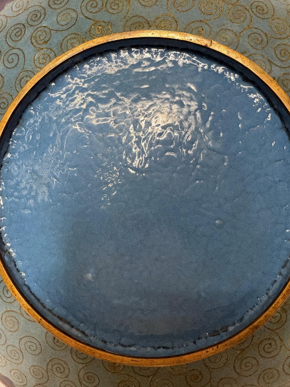 A circular Japanese Meiji period cloisonne charger featuring a sky-blue central medallion with chrysanthemums, a butterfly, and a frog, framed by geometric enamel patterns. View VII