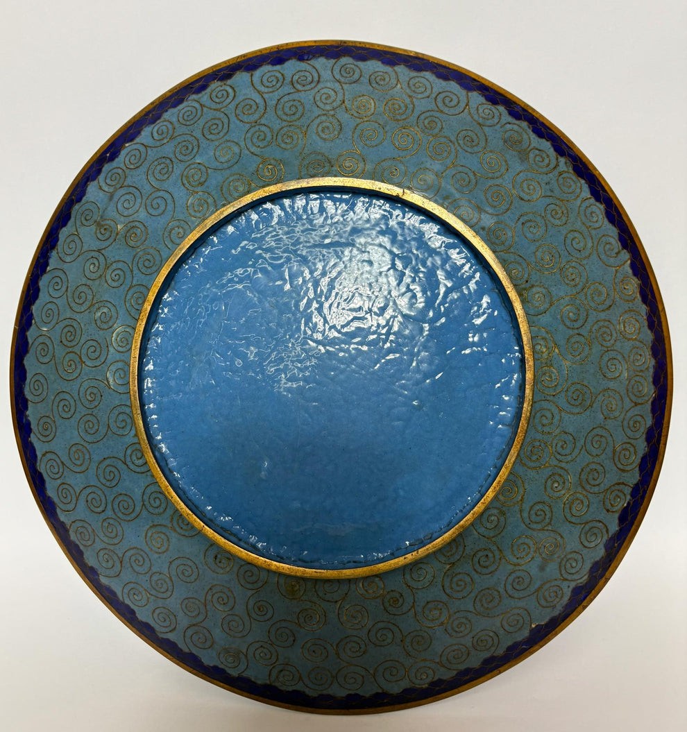 A circular Japanese Meiji period cloisonne charger featuring a sky-blue central medallion with chrysanthemums, a butterfly, and a frog, framed by geometric enamel patterns. View VIII