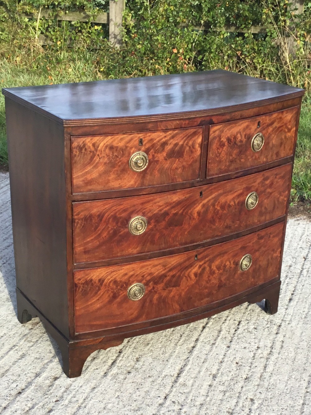 Bow Front Chest of Drawers