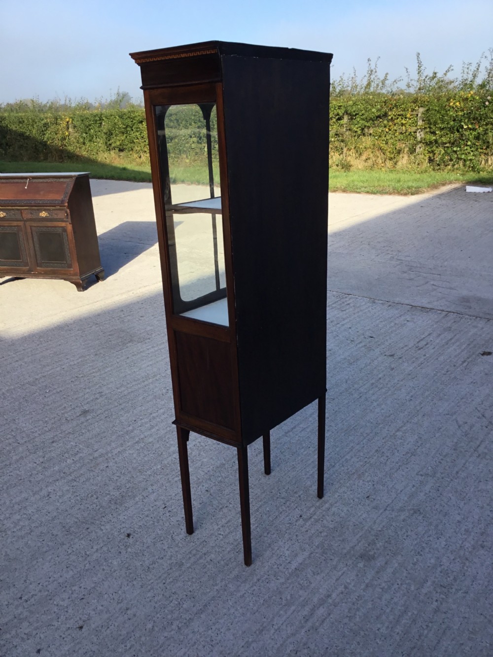 Edwardian Inlaid Display Cabinet  View VIII