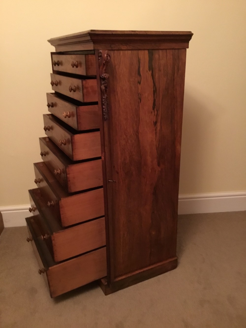 Victorian Rosewood Wellington Chest View VII