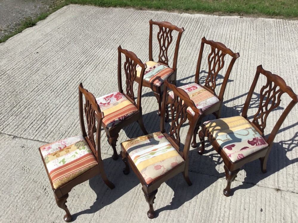 Set of 6 Dining Chairs View VII