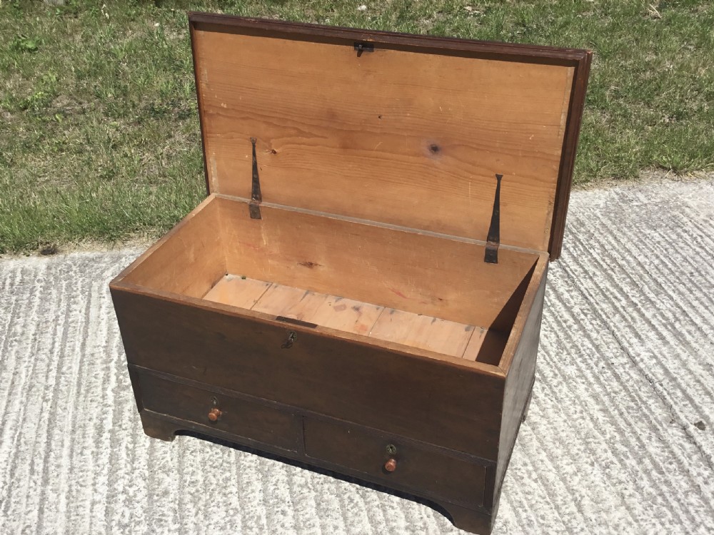 Early Victorian Pine Mule Chest View III