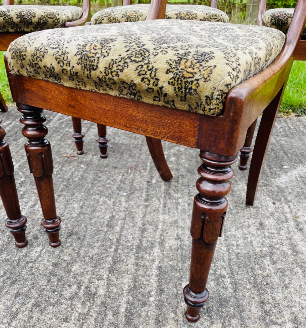 Set of Six Early Victorian Mahogany Dining Chairs View XVII