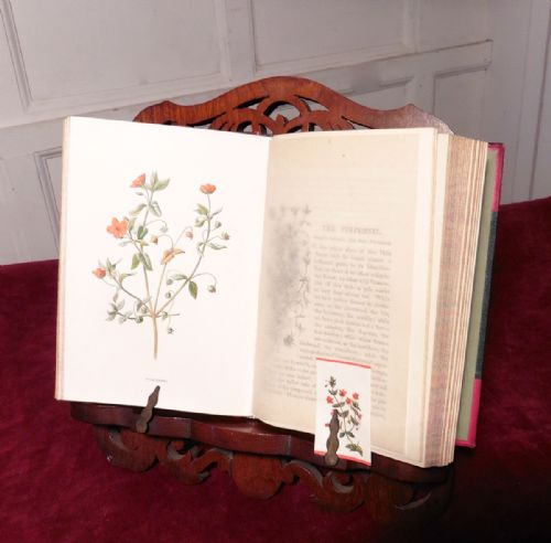 fig 1. Mahogany Book Rest or Reading Stand