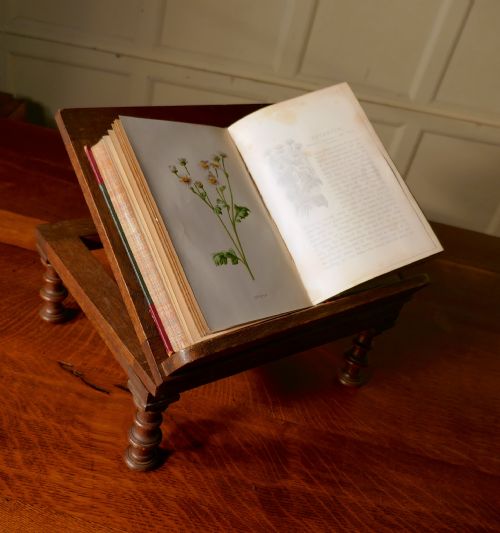 fig 4. French Swivelling Oak Book Rest or Music Stand, Lutrin