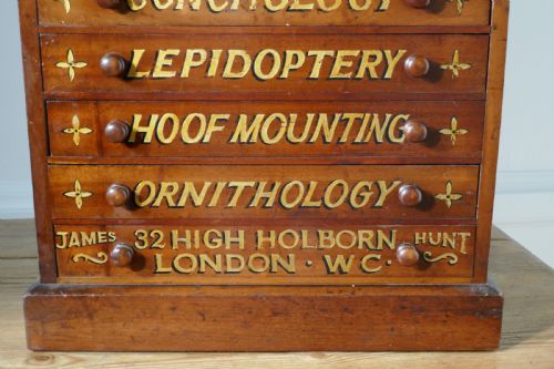 fig 1. Small Museum Filing Cabinet, Natural History Collectors Cabinet