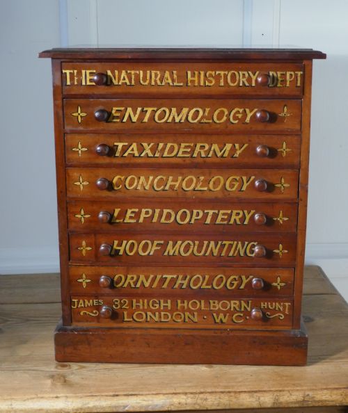 fig 2. Small Museum Filing Cabinet, Natural History Collectors Cabinet