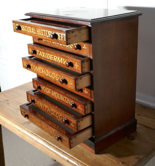 fig 4. Small Museum Filing Cabinet, Natural History Collectors Cabinet