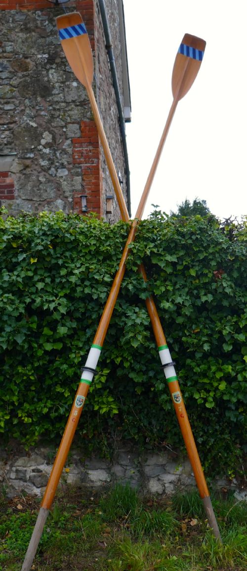 A Pair of  Very Long Racing Sculls or Oars from Eton College Windsor