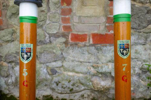 fig 1. A Pair of  Very Long Racing Sculls or Oars from Eton College Windsor 