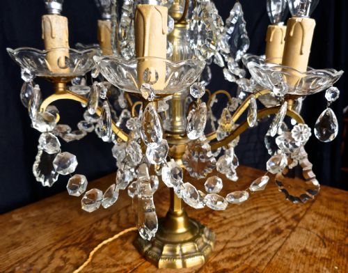 fig 3. French Brass and Crystal 6 Branch Chandelier Table Lamp, Girandole