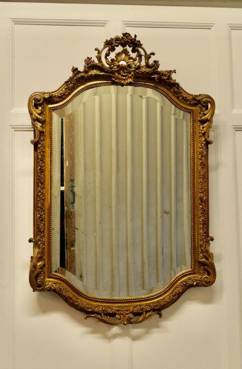 Superb 19th Century French Gilt Pier Mirror