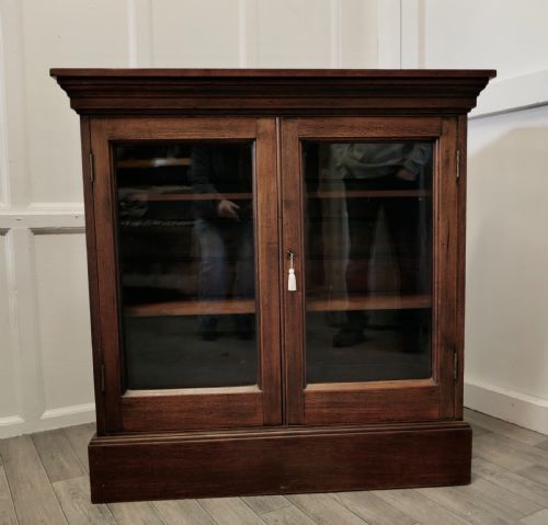 Fine Quality 19th Century Walnut Glazed Bookcase, Cupboard