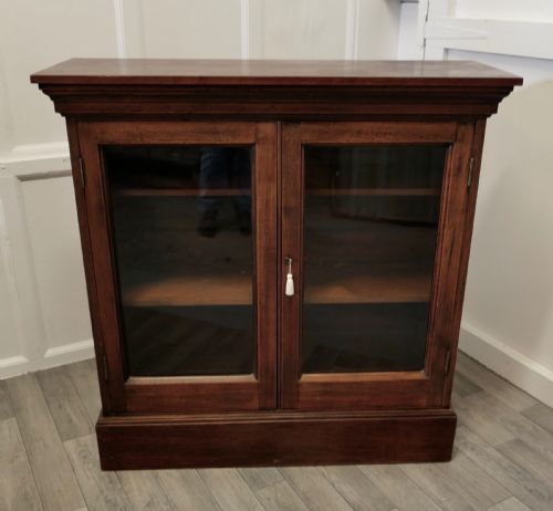 fig 1. Fine Quality 19th Century Walnut Glazed Bookcase, Cupboard