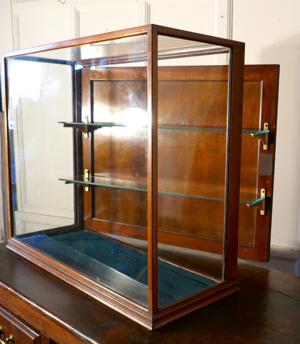 Victorian Counter Top Collectables Shop Display Cabinet  View V