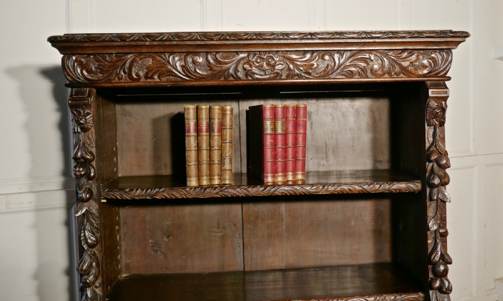 Victorian Green Man Gothic Open Bookcase. View VI