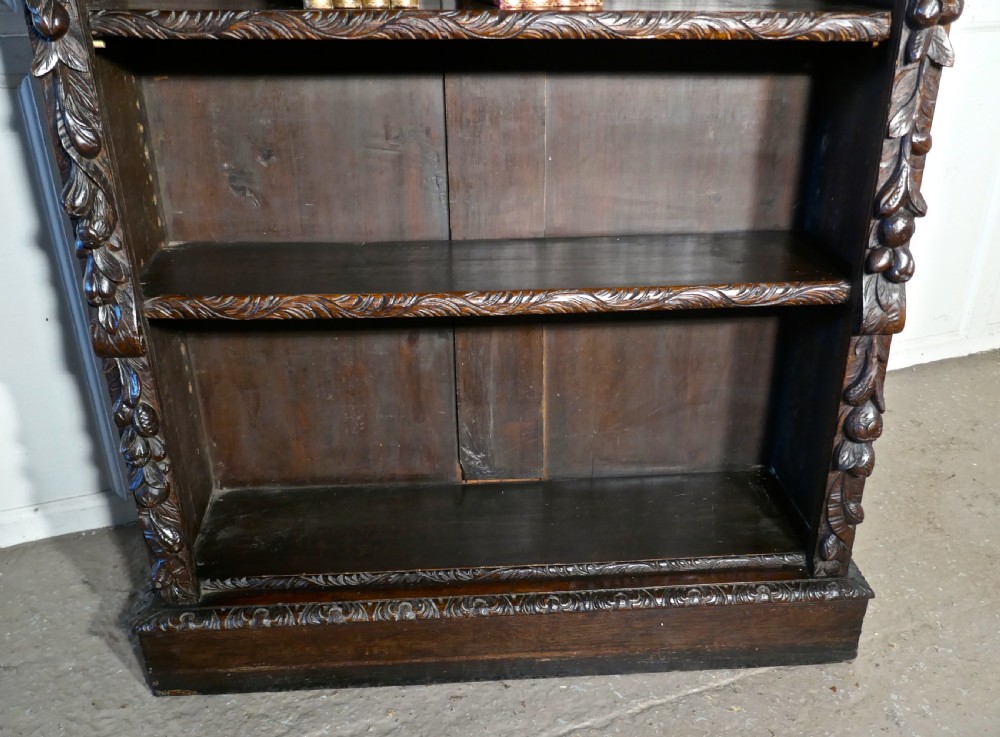 Victorian Green Man Gothic Open Bookcase. View VII